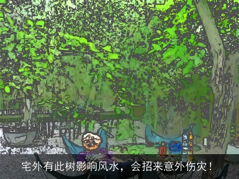 宅外有此树影响风水，会招来意外伤灾！