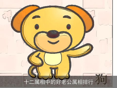 十二属相中的好老公属相排行