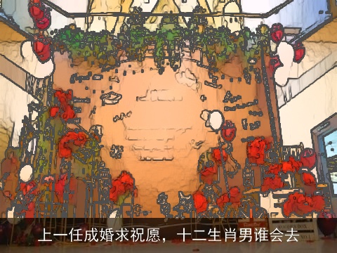 上一任成婚求祝愿，十二生肖男谁会去