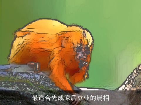 最适合先成家后立业的属相