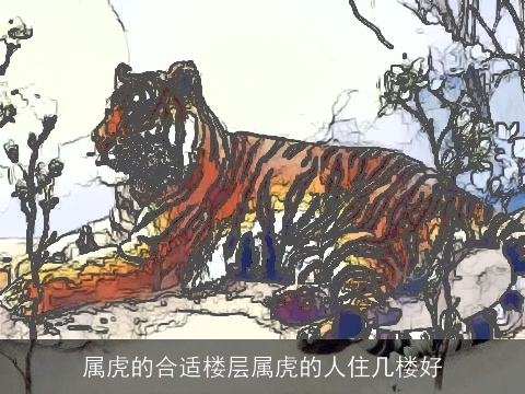 属虎的合适楼层属虎的人住几楼好