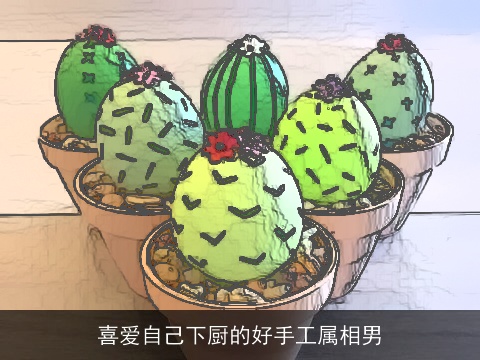 喜爱自己下厨的好手工属相男