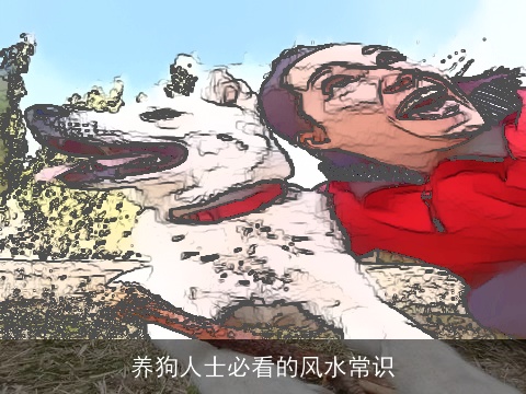 养狗人士必看的风水常识
