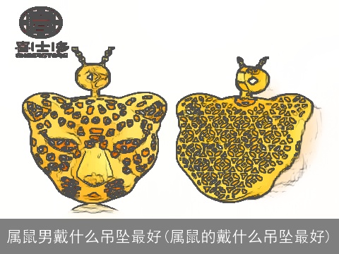 属鼠男戴什么吊坠最好(属鼠的戴什么吊坠最好)