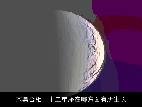 木冥合相，十二星座在哪方面有所生长
