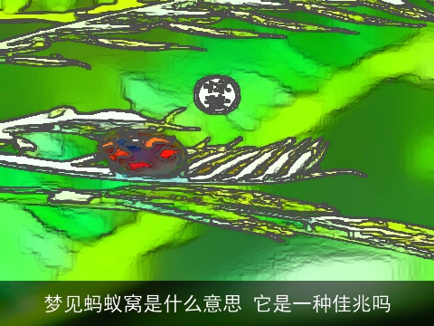 梦见蚂蚁窝是什么意思 它是一种佳兆吗