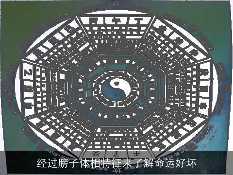 经过膀子体相特征来了解命运好坏