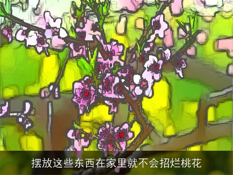 摆放这些东西在家里就不会招烂桃花