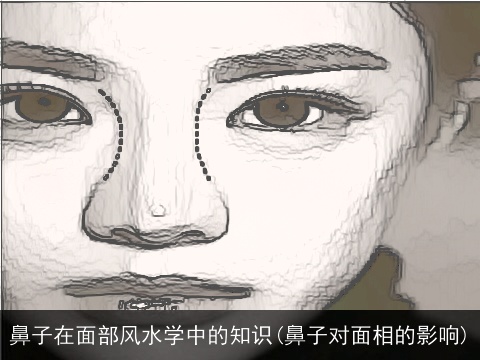 鼻子在面部风水学中的知识(鼻子对面相的影响)
