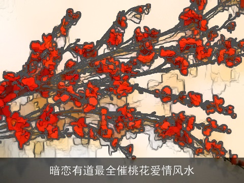 暗恋有道最全催桃花爱情风水