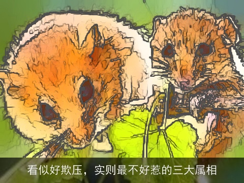 看似好欺压，实则最不好惹的三大属相