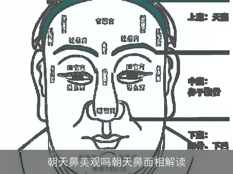 朝天鼻美观吗朝天鼻面相解读