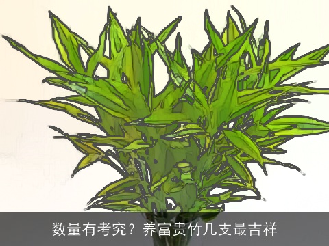 数量有考究？养富贵竹几支最吉祥