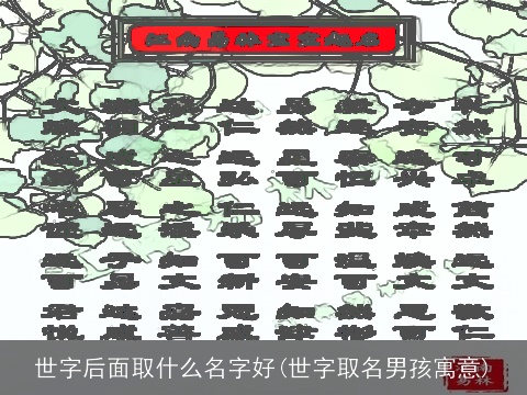 世字后面取什么名字好(世字取名男孩寓意)