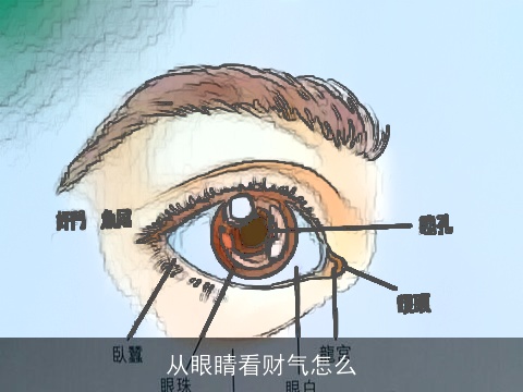 从眼睛看财气怎么