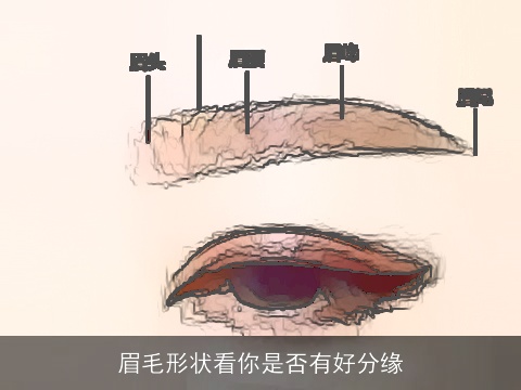 眉毛形状看你是否有好分缘