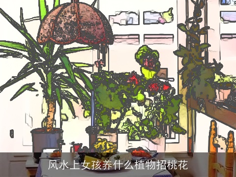 风水上女孩养什么植物招桃花