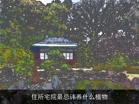 住所宅院最忌讳养什么植物