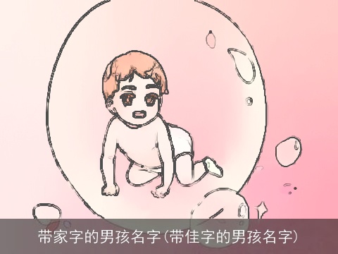 带家字的男孩名字(带佳字的男孩名字)