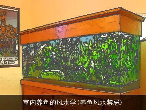 室内养鱼的风水学(养鱼风水禁忌)