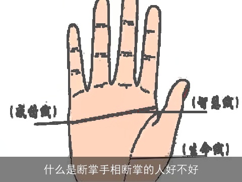 什么是断掌手相断掌的人好不好