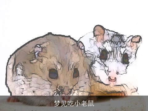 梦见吃小老鼠