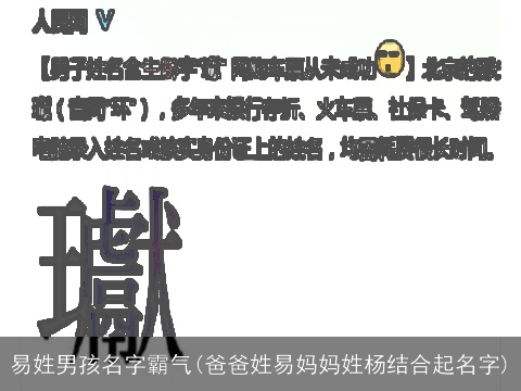 易姓男孩名字霸气(爸爸姓易妈妈姓杨结合起名字)