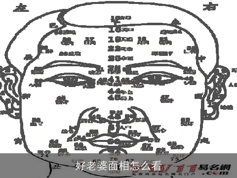 好老婆面相怎么看