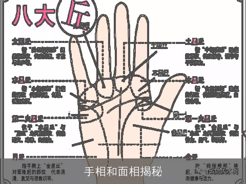手相和面相揭秘