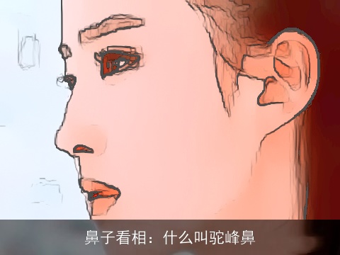 鼻子看相：什么叫驼峰鼻