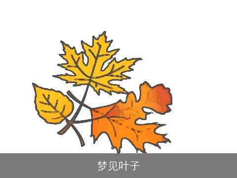 梦见叶子