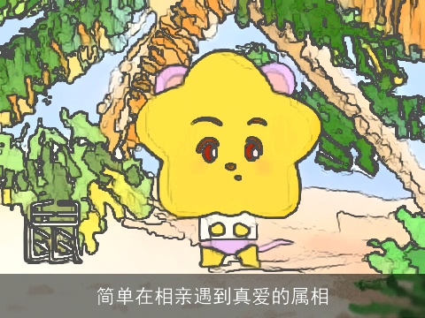简单在相亲遇到真爱的属相