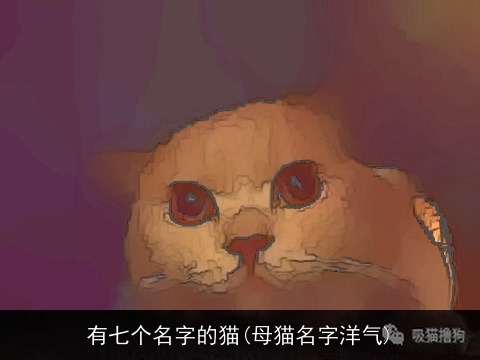 有七个名字的猫(母猫名字洋气)