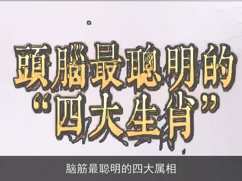 脑筋最聪明的四大属相