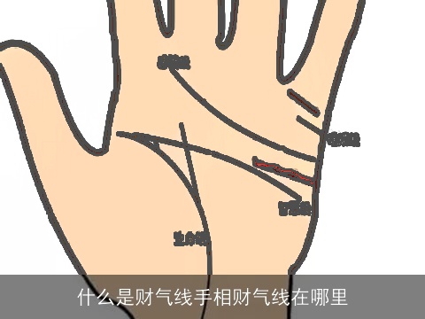 什么是财气线手相财气线在哪里