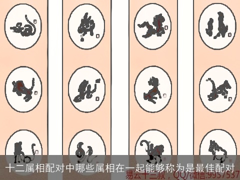十二属相配对中哪些属相在一起能够称为是最佳配对