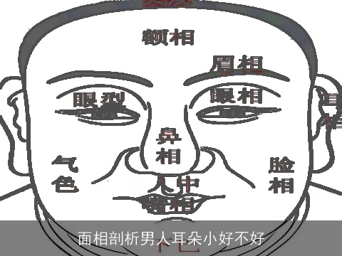 面相剖析男人耳朵小好不好