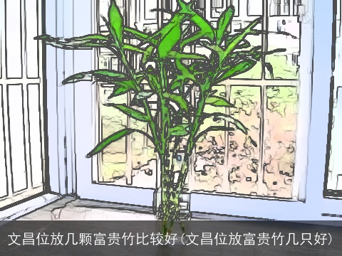 文昌位放几颗富贵竹比较好(文昌位放富贵竹几只好)