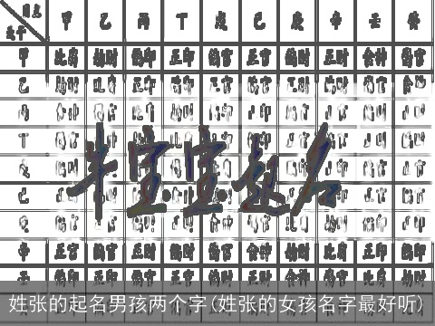 姓张的起名男孩两个字(姓张的女孩名字最好听)