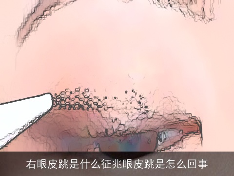 右眼皮跳是什么征兆眼皮跳是怎么回事