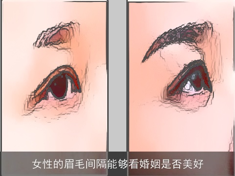 女性的眉毛间隔能够看婚姻是否美好 女性的眉毛间隔能够看婚姻是否美好