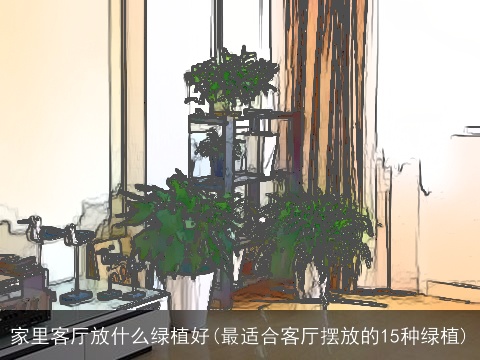 家里客厅放什么绿植好(最适合客厅摆放的15种绿植)