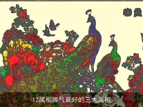 12属相脾气最好的三大属相
