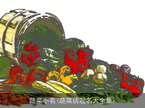 蔬菜小名(蔬菜店起名大全集)