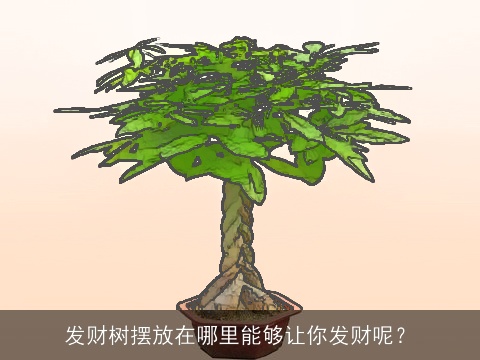 发财树摆放在哪里能够让你发财呢？