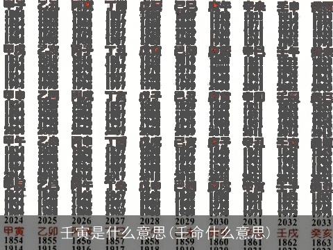 壬寅是什么意思(壬命什么意思)