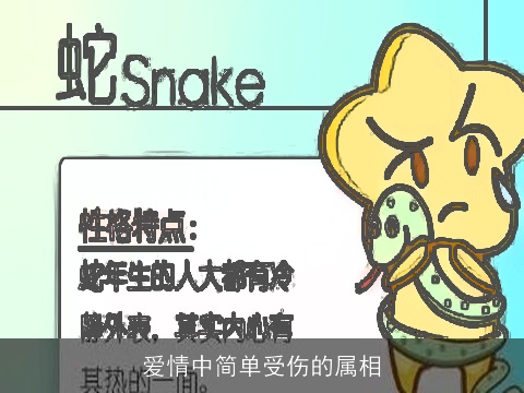 爱情中简单受伤的属相