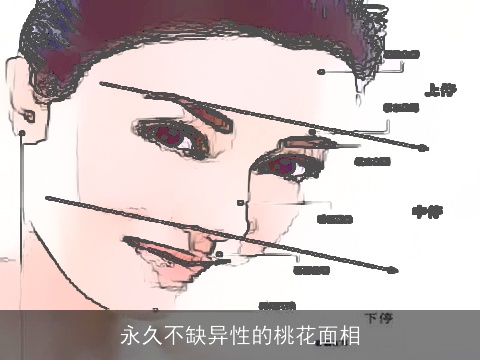 永久不缺异性的桃花面相