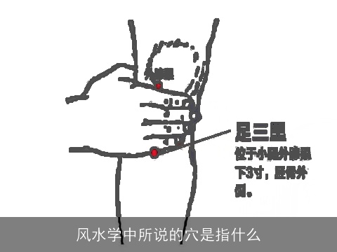 风水学中所说的穴是指什么