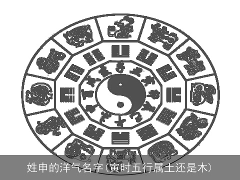 姓申的洋气名字(寅时五行属土还是木)